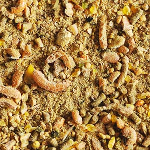 Garvo -Alfastart Piepkuikens, 4 kg